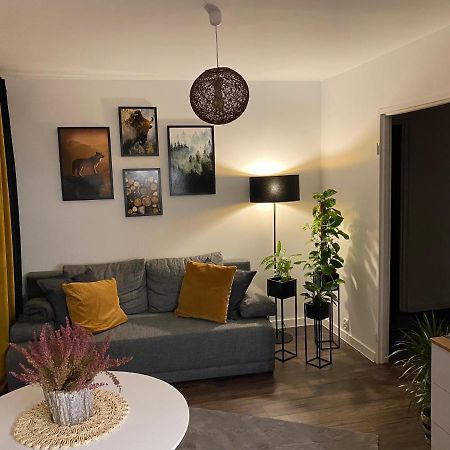 Wilcza Ostoja Bieszczady Apartamento Ustrzyki Dolne Exterior foto